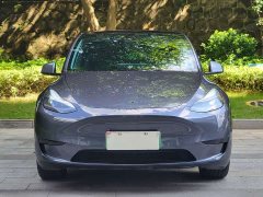 Tesla Model Y Rear-Wheel Drive - ფოტო 2