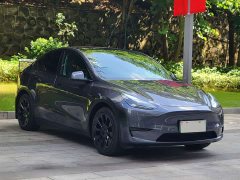 Tesla Model Y Rear-Wheel Drive - ფოტო 3
