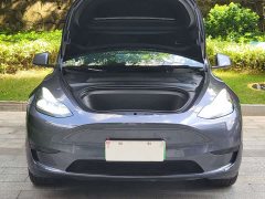 Tesla Model Y Rear-Wheel Drive - ფოტო 5