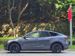 Tesla Model Y Rear-Wheel Drive - ფოტო 7