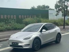 Tesla Model Y 2023 Rear-Wheel Drive - ფოტო 1
