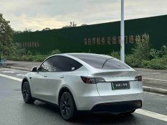 Tesla Model Y 2023 Rear-Wheel Drive - ფოტო 7