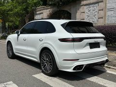 Porsche 2019 Cayenne 3.0T - ფოტო 15
