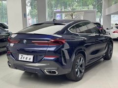BMW X6 xDrive40i M Sport Premium Package - ფოტო 6