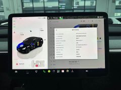Tesla Model Y Rear-Wheel Drive - ფოტო 13