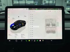 Tesla Model Y Rear-Wheel Drive - ფოტო 16