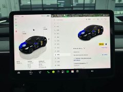 Tesla Model Y Rear-Wheel Drive - ფოტო 6