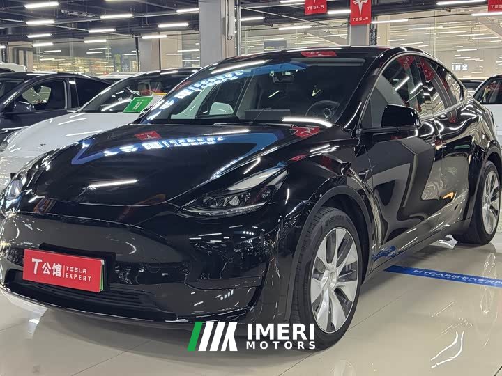 Tesla Model Y Rear-Wheel Drive - ავტომობილი ჩინეთიდან