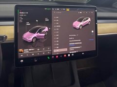 Tesla Model Y Rear-Wheel Drive - ფოტო 15