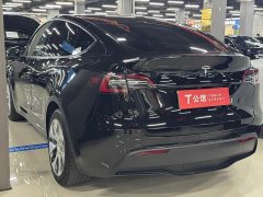 Tesla Model Y Rear-Wheel Drive - ფოტო 7