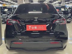 Tesla Model Y Rear-Wheel Drive - ფოტო 8