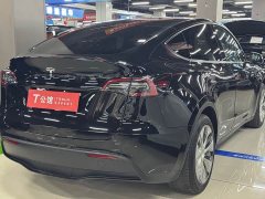 Tesla Model Y Rear-Wheel Drive - ფოტო 9