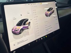 Tesla Model Y 2022 Facelift Long Range All-Wheel Drive - ფოტო 11