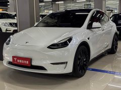 Tesla Model Y Performance All-Wheel Drive - ფოტო 1