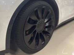 Tesla Model Y Performance All-Wheel Drive - ფოტო 10
