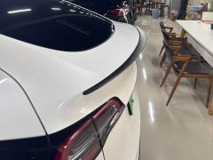 Tesla Model Y Performance All-Wheel Drive - ფოტო 11