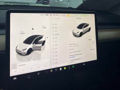 Tesla Model Y Performance All-Wheel Drive - ფოტო 15