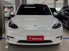 Tesla Model Y Performance All-Wheel Drive - ფოტო 2