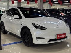 Tesla Model Y Performance All-Wheel Drive - ფოტო 3