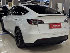 Tesla Model Y Performance All-Wheel Drive - ფოტო 7