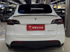 Tesla Model Y Performance All-Wheel Drive - ფოტო 8