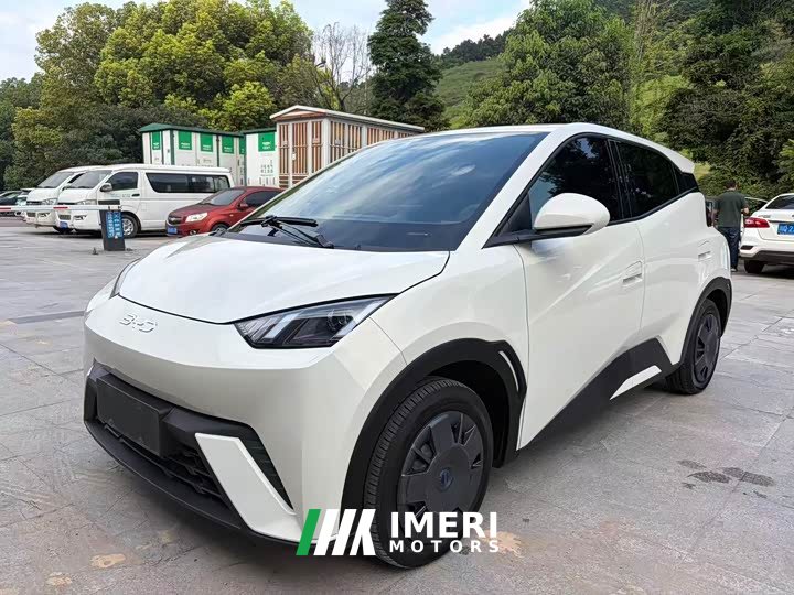 BYD Seagull Glory Edition 305km Vitality Version - ავტომობილი ჩინეთიდან