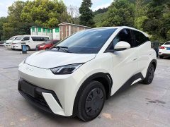BYD Seagull Glory Edition 305km Vitality Version - ფოტო 1