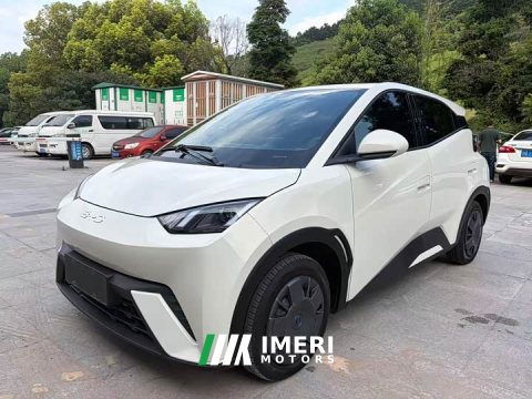 2024 BYD Seagull Glory Edition 305km Vitality Version - ავტომობილი ჩინეთიდან