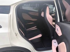 BYD Seagull Glory Edition 305km Vitality Version - ფოტო 11
