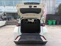 BYD Seagull Glory Edition 305km Vitality Version - ფოტო 13