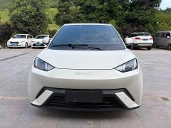 BYD Seagull Glory Edition 305km Vitality Version - ფოტო 2