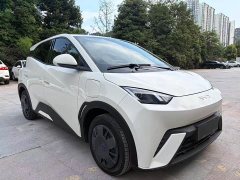 BYD Seagull Glory Edition 305km Vitality Version - ფოტო 3
