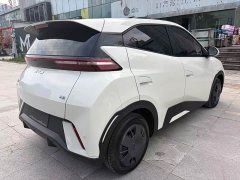 BYD Seagull Glory Edition 305km Vitality Version - ფოტო 7
