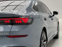 Volkswagen Lingdu L 280TSI DSG Ultra Spicy Flagship - ფოტო 11