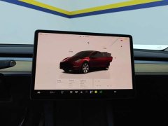 Tesla Model Y Rear-Wheel Drive - ფოტო 13