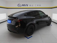 Tesla Model Y Rear-Wheel Drive - ფოტო 3