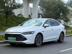 BYD Qin PLUS Glory Edition DM-i 55KM Leading - ფოტო 1