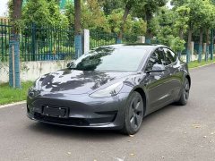Tesla Model 3 Standard Range RWD Upgrade - ფოტო 1