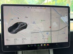 Tesla Model 3 Standard Range RWD Upgrade - ფოტო 15