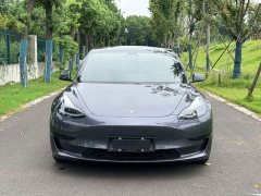 Tesla Model 3 Standard Range RWD Upgrade - ფოტო 2