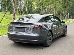 Tesla Model 3 Standard Range RWD Upgrade - ფოტო 3