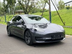 Tesla Model 3 Standard Range RWD Upgrade - ფოტო 4