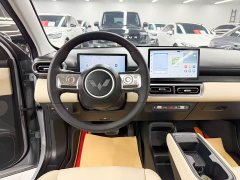 Wuling Binguo PLUS 510km Flagship Four-Seater - ფოტო 15