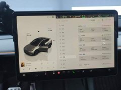 Tesla Model Y Rear-Wheel Drive - ფოტო 14