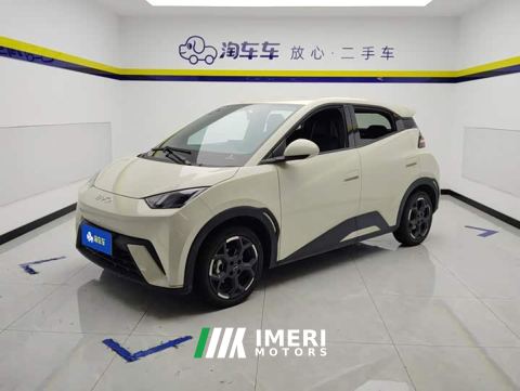 2024 BYD Seagull 405km Flying Edition