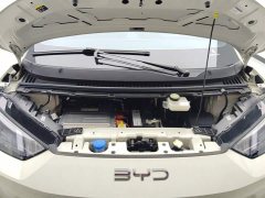 BYD Seagull 2025 405km Flying Edition - ფოტო 10