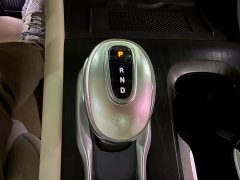 Voyah Dream PHEV Extended Range Luxury Edition - ფოტო 12