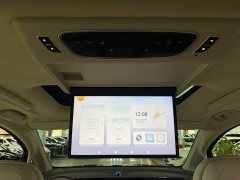 Voyah Dream PHEV Extended Range Luxury Edition - ფოტო 18