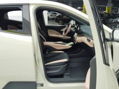 BYD Seagull 2023 Flying Edition - ფოტო 8