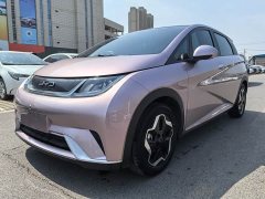 BYD Dolphin 405km Fashion Edition - ფოტო 1